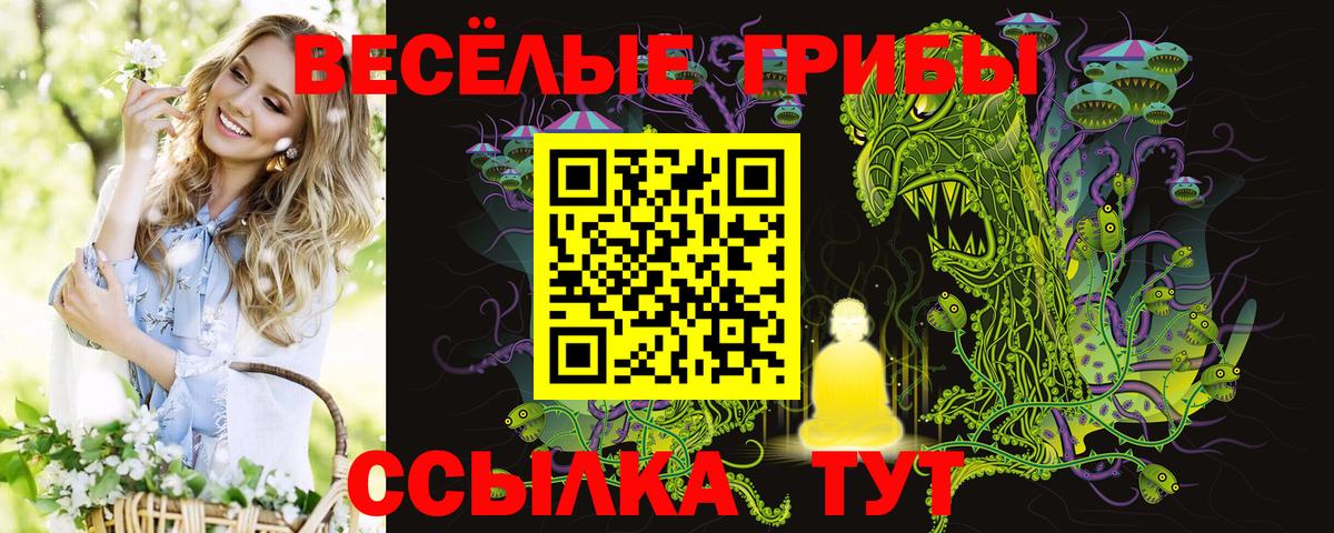 Псилоцибиновые грибы Psilocybe Сергиев Посад